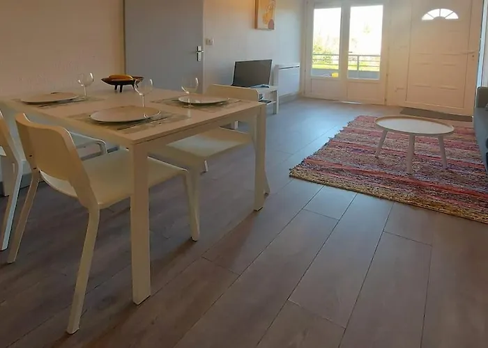 Zenith - Cartoucherie Daire